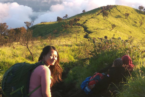 Randonnée avec camping et visite du mont Merbabu et de Borobudur (2 jours/1 nuit)Randonnée et visite du mont Merbabu et de Borobudur (2 jours, 1 nuit)