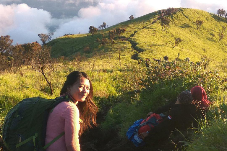 Randonnée avec camping et visite du mont Merbabu et de Borobudur (2 jours/1 nuit)Randonnée et visite du mont Merbabu et de Borobudur (2 jours, 1 nuit)