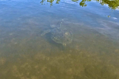 Ft Lauderdale: Combo Deal Snorkel Reefs, Kayak/SUP Mangroves