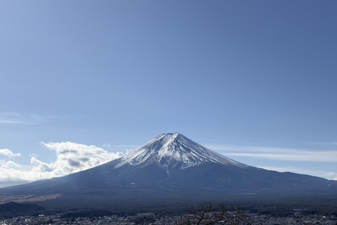 From Tokyo: Private Mt. Fuji SNS Photo Tour by Luxury Car