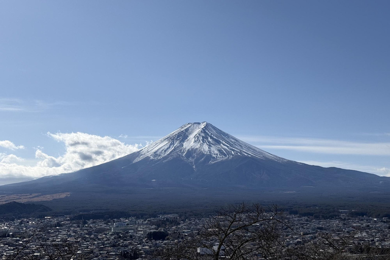 From Tokyo: Private Mt. Fuji SNS Photo Tour by Luxury Car