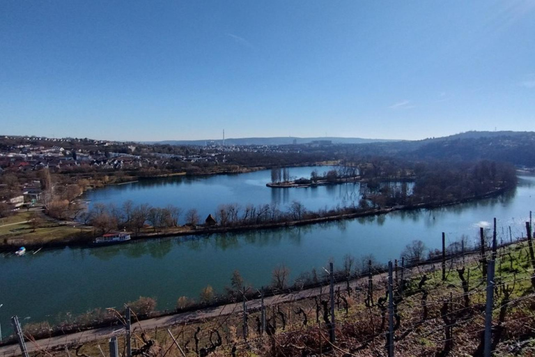 شتوتغارت: جولة LED متوهجة في الظلام مع Aquaman