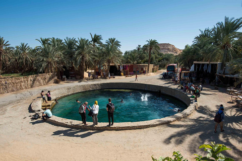 From Cairo: Sulfur & Salt Lake Swim, Safari, Siwa Oasis Tour Small Group Tour from Cairo