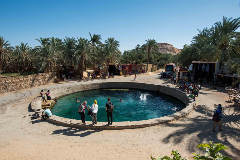 From Cairo: Sulfur & Salt Lake Swim, Safari, Siwa Oasis Tour Small Group Tour from Alexandria