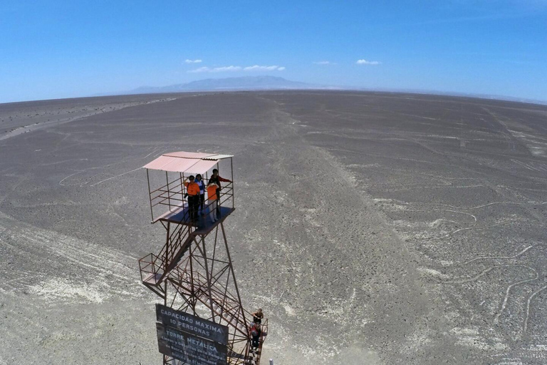 Desde Ica: vuelo sobre las Líneas de Nazca con traslado en autobús