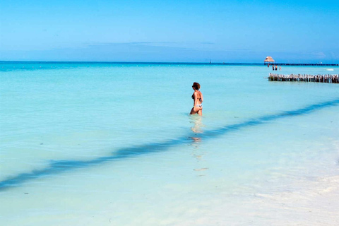 Van Riviera maya; catamaran alleen voor volwassenen naar isla mujeres