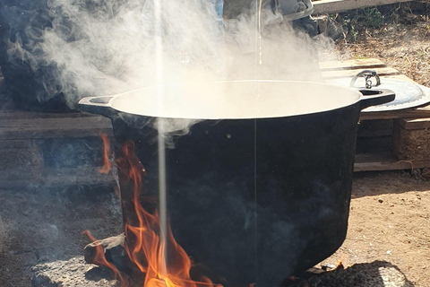 Assomada: wycieczka po farmie z lunchem i lekcją gotowania