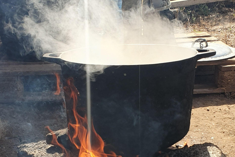 Assomada: wycieczka po farmie z lunchem i lekcją gotowania