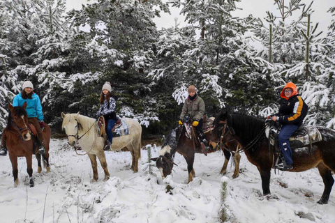 ✨Expérience de Sofia - nature, histoire, équitation et SPA✨