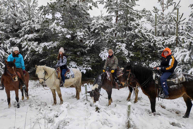 ✨Experience Sofia - nature, history, horse riding and SPA✨