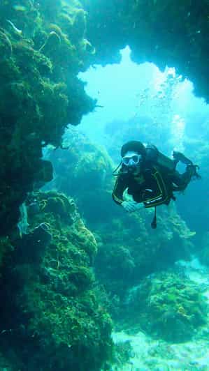 Cozumel Two tank boat diving trip | GetYourGuide