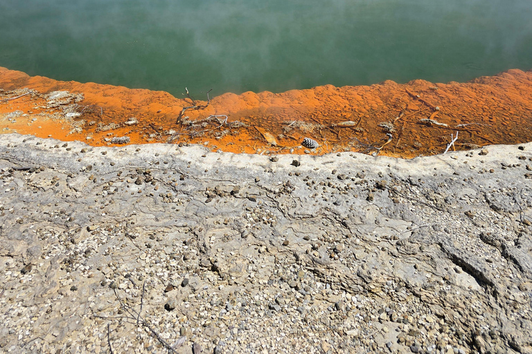 Auckland: Māori Village & Wai-o-Tapu & Blue Springs