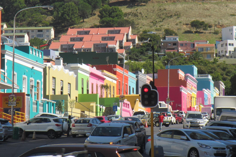 From Cape Town: Cape of Good Hope and Penguins Shared Tour