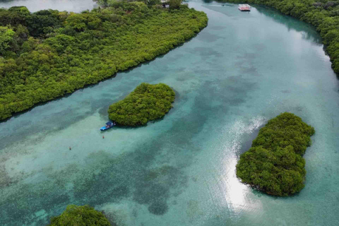 Panama City: Portobelo Jungle, Reef & Venas Azules Tour