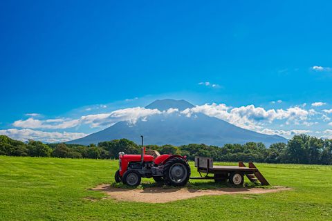 From Sapporo: Noboribetsu, Lake Toya, and Niseko Day Trip Shared Tour, Meet at Sapporo Station