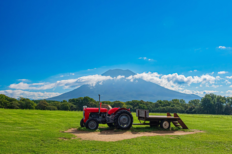 From Sapporo: Noboribetsu, Lake Toya, and Niseko Day Trip Shared Tour, Meet at Sapporo Station