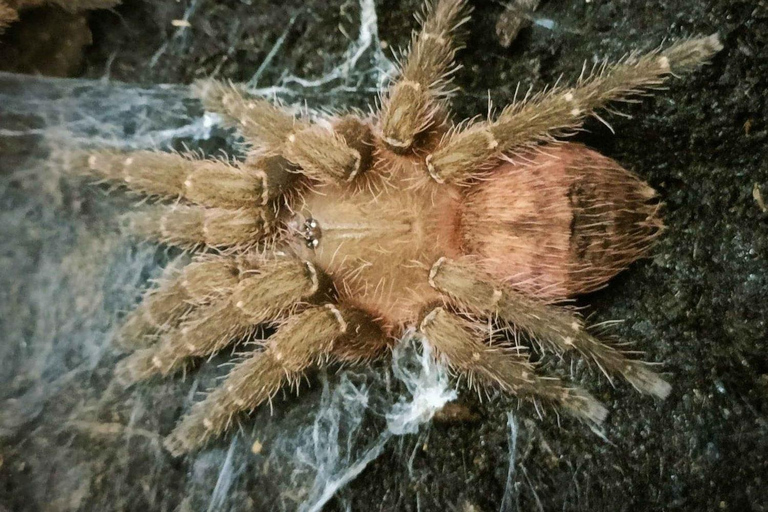 HUITOTO PROGRAM 4 DAYS 3 NIGHTS