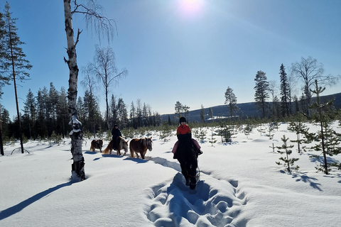 Rovaniemi: Winter Horseback Ride on Snowy Hills and Forests Winter Horseback Ride through the hills + transfer