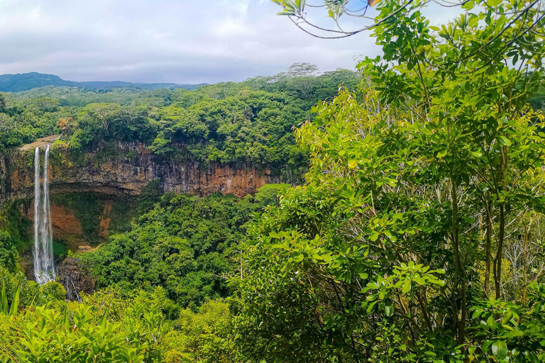Mauricio: tour por el sur de la isla con cata de ron