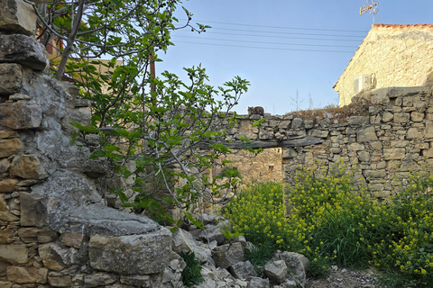 Tour privato a Troodos: cascata, villaggi e pranzo cipriotaTour privato a Troodos: cascata, villaggi e pranzo tipico cipriota