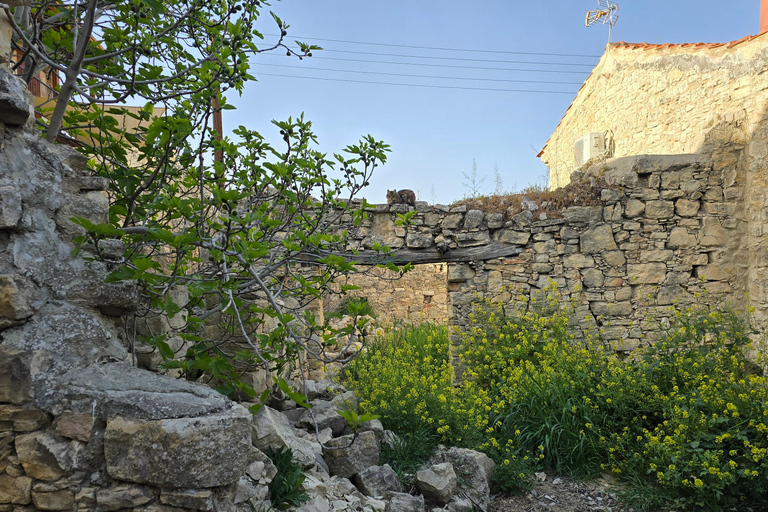 Tour privato a Troodos: cascata, villaggi e pranzo cipriotaTour privato a Troodos: cascata, villaggi e pranzo tipico cipriota