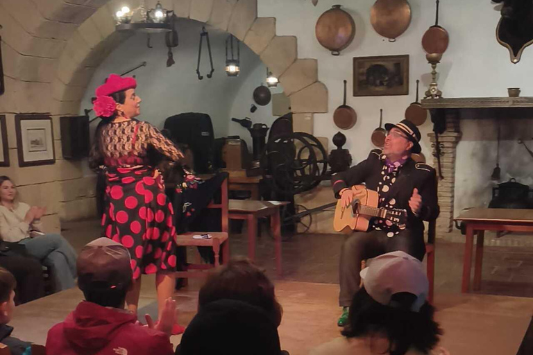 Ronda: Flamenco Show at the Lara Museum