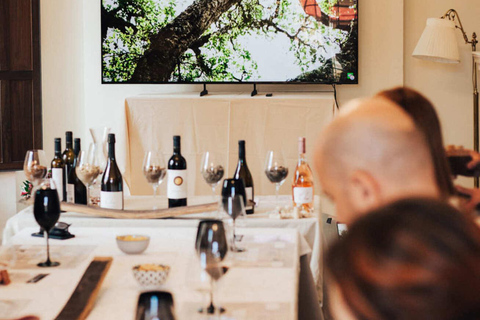 Experiência de prova de vinhos em Ronda