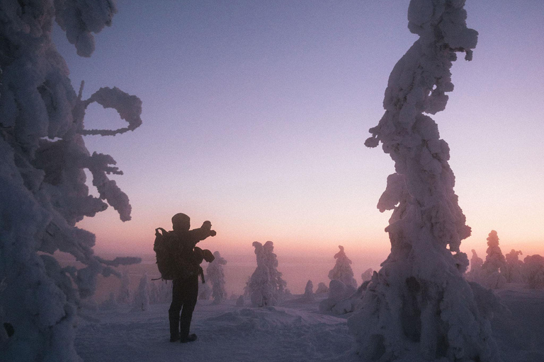 Rovaniemi: Riisitunturi Snow Monsters Tour & Campfire BBQ