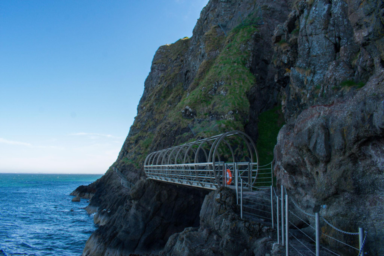 Belfast: Private Derry Transfer Tour via Giant's Causeway
