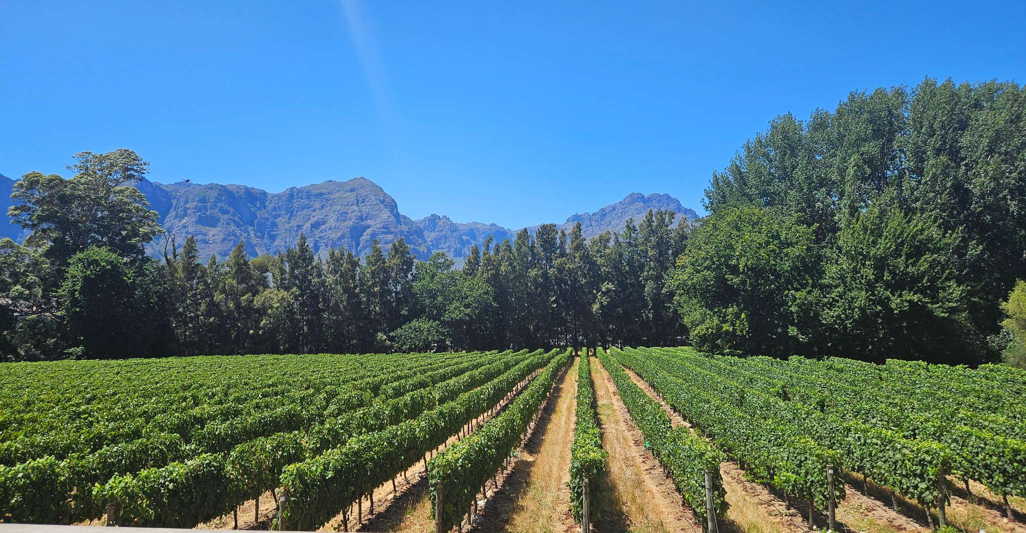 Table Mountain, Historic City & Winelands Private Day Tour. - Housity