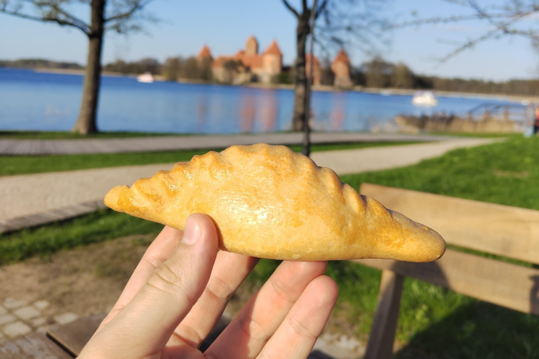 From Vilnius: Trakai Eco-Friendly Half Day Trip By Train