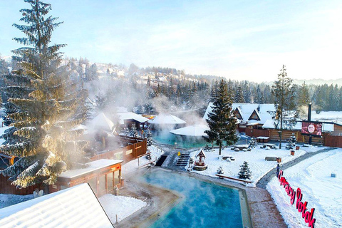 Szaflary: Entry Ticket to Gorący Potok Thermal Baths Day Ticket: Pool areas