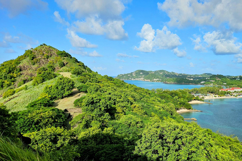 St Lucia: Restore in Nature. 1:1 Wellness Somatic Session