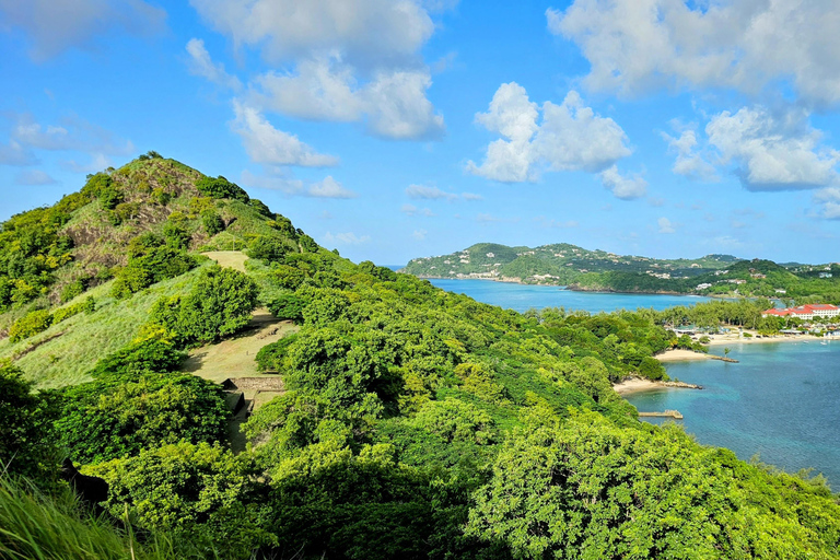 St Lucia: Restore in Nature. 1:1 Wellness Somatic Session
