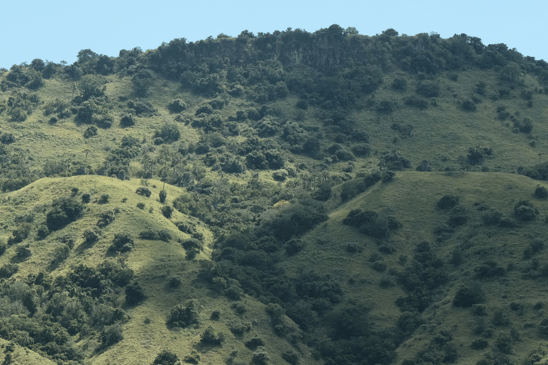 Labuan Bajo: Private Yacht Komodo-Inseln &amp; Manta-SchnorchelnPrivate Yachttour am Vormittag (13:00–19:00 Uhr) – Maximal 6 Gäste