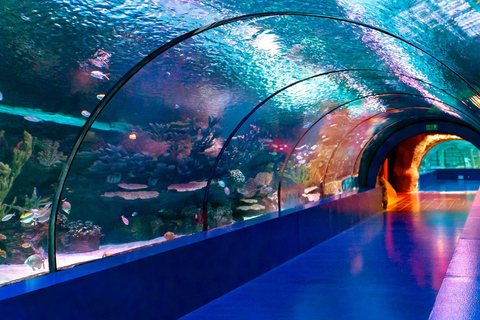 Antalya: Aquarium Tour with Hotel Pickup & Combo Options Antalya Aquarium & Wax Museum Entry Ticket