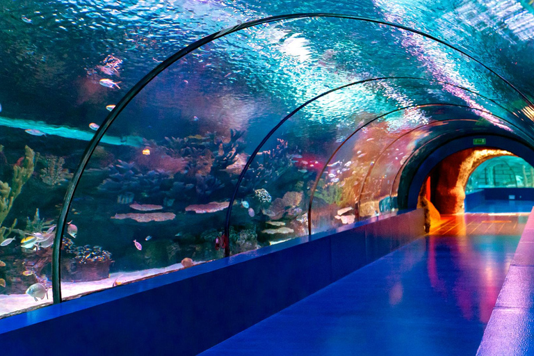 Antalya: Aquarium Tour with Hotel Pickup & Combo Options Antalya Aquarium & Wax Museum Entry Ticket