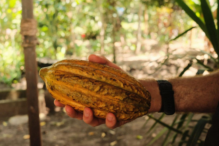 Cusco: 2-Day Coffee & Cacao Farm Stay Experience