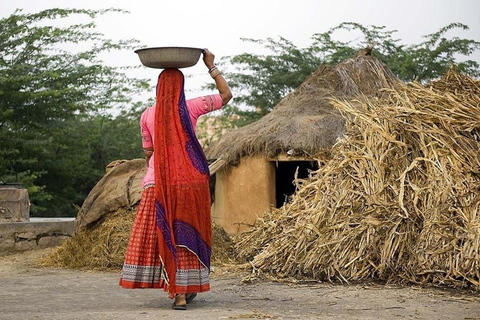 Full-Day Bishnoi Village Safari