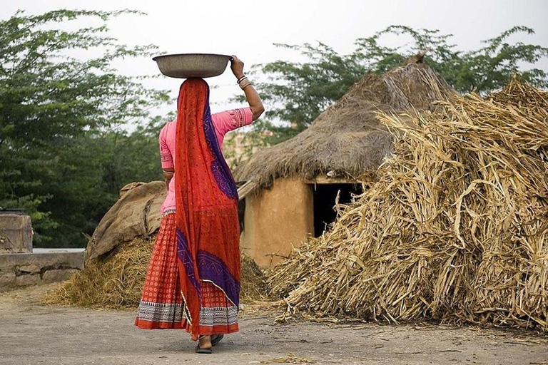 Full-Day Bishnoi Village Safari