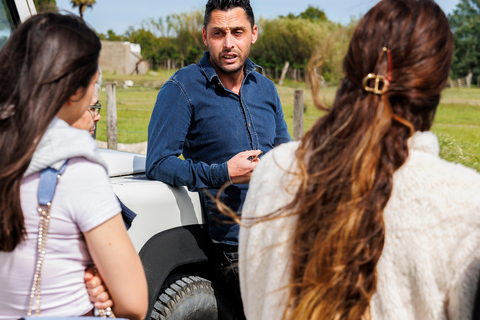 Aigues-Mortes 3H: Discover the secret Camargue in a 4x4 Full-Day