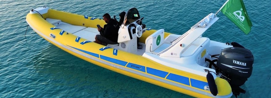 Au départ de Stintino : excursion de deux heures en zodiac au lever ou au coucher du soleil