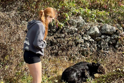 Isla Terceira: Experiencia en la Ruta de la Leche y el Queso