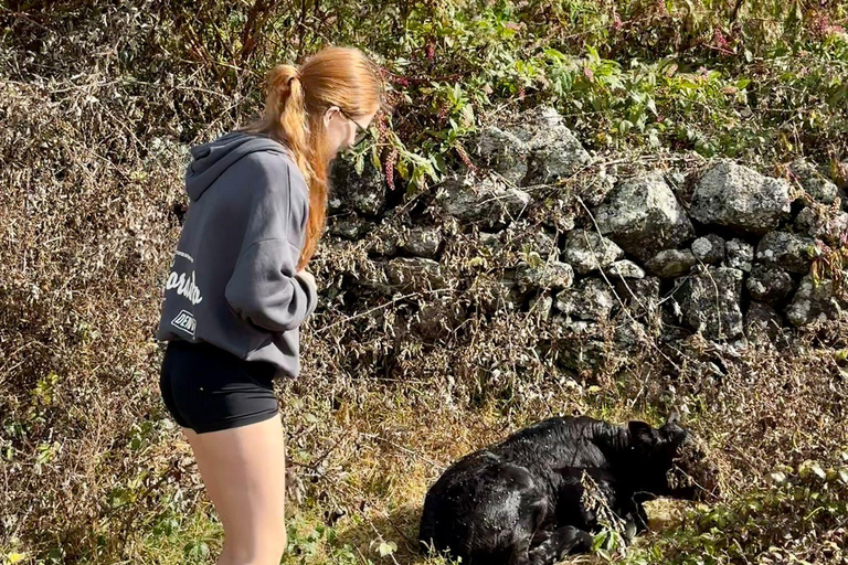 Isla Terceira: Experiencia en la Ruta de la Leche y el Queso