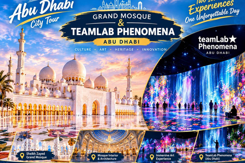 Abu Dhabi: Blue Mosque & teamLab Phenomena Tour with Entry Abudhabi: Full Day Premium Pass Tour With 24K Gold Coffee