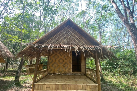 Programa de una noche en el Santuario Ético de Elefantes de Khao LakExcursión con punto de encuentro