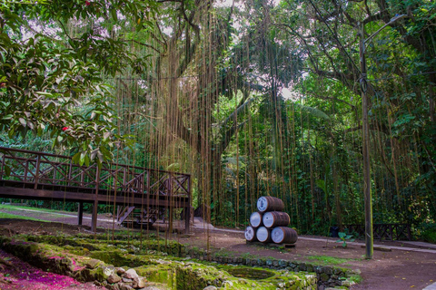 St. Kitts Photography Tours