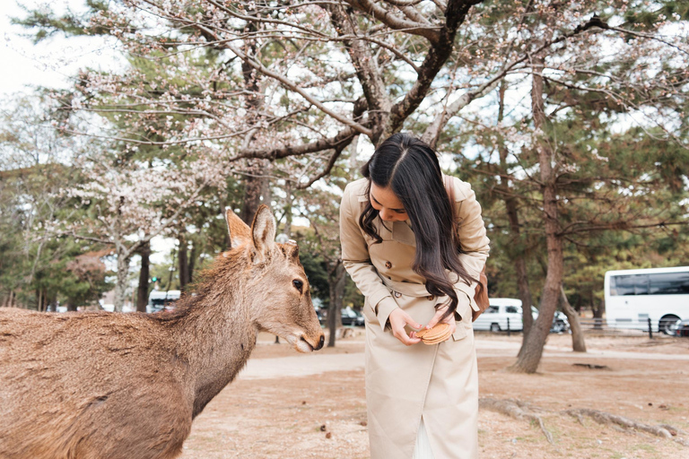 Kyoto: Nara Half-Day Small Group Tour