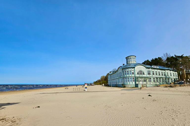 Ķemeri Great Bog With Optional Sunrise & Jūrmala Visit Ķemeri Bog Shared Small Group Tour