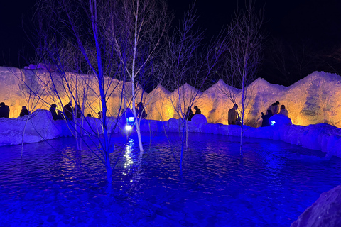 From Sapporo: Lake Shikotsu Ice Festival & Illumination Tour